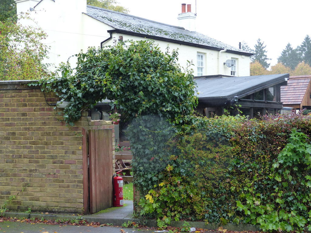 Englefield Green The Sun Inn מראה חיצוני תמונה
